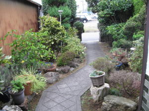 施行前